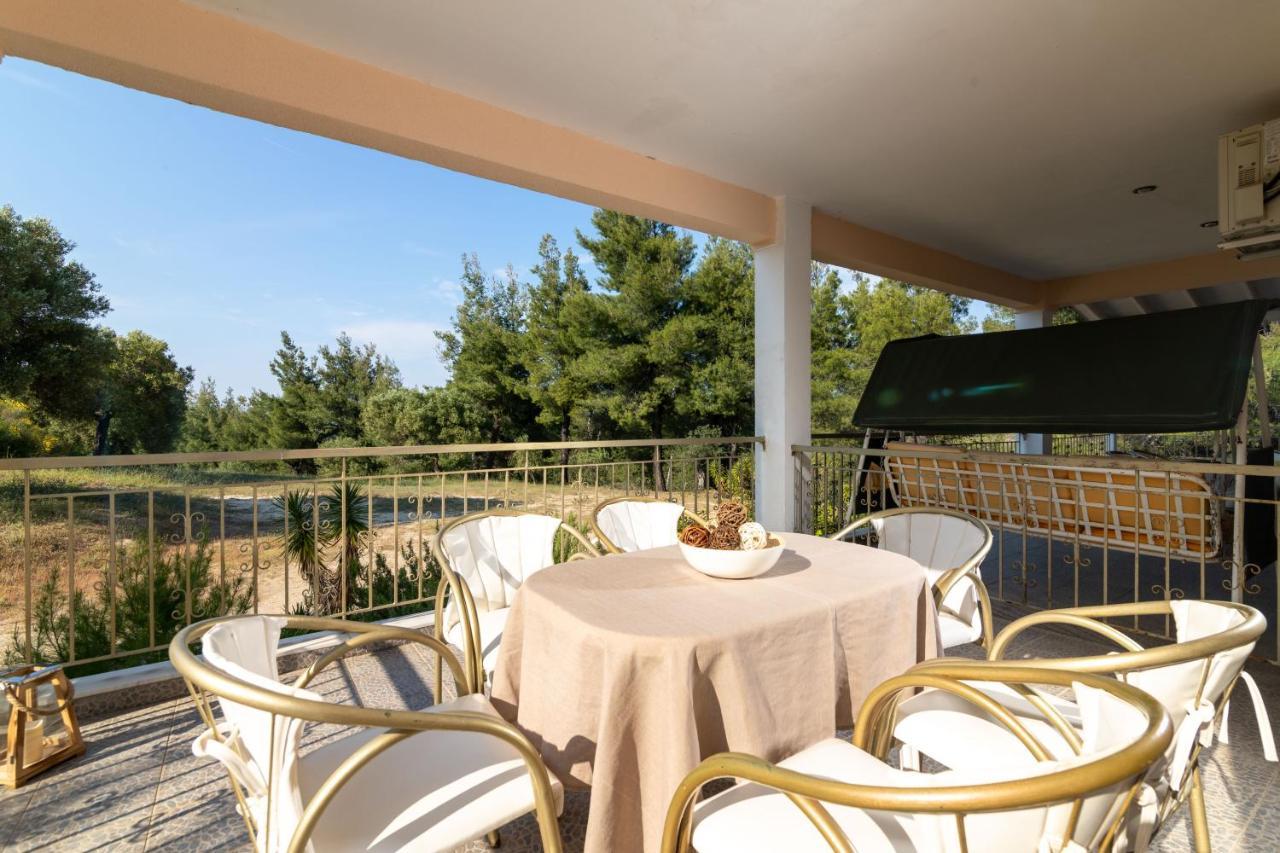 F & B Summer Collection - Paliouri Esterno foto