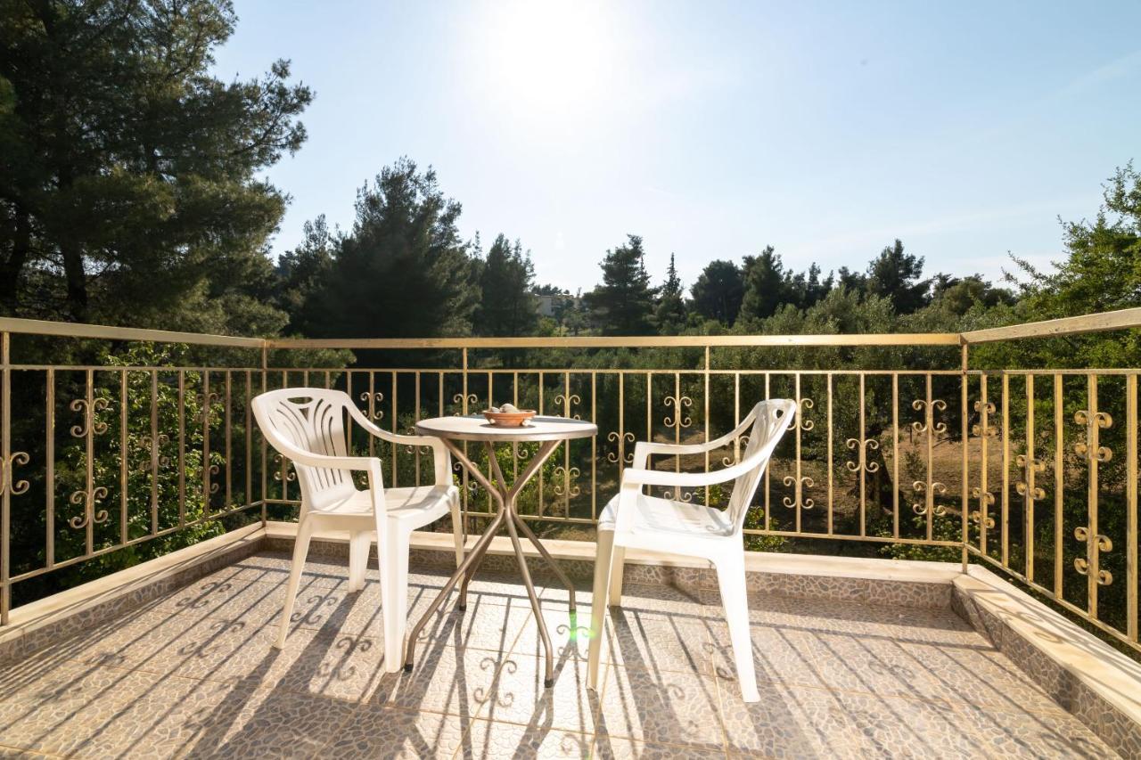 F & B Summer Collection - Paliouri Esterno foto
